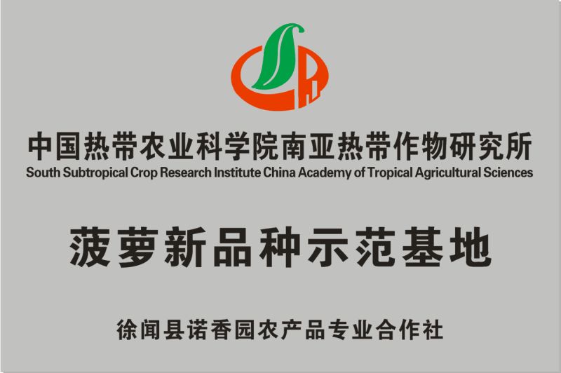 Pineapple New Variety Demonstration Base